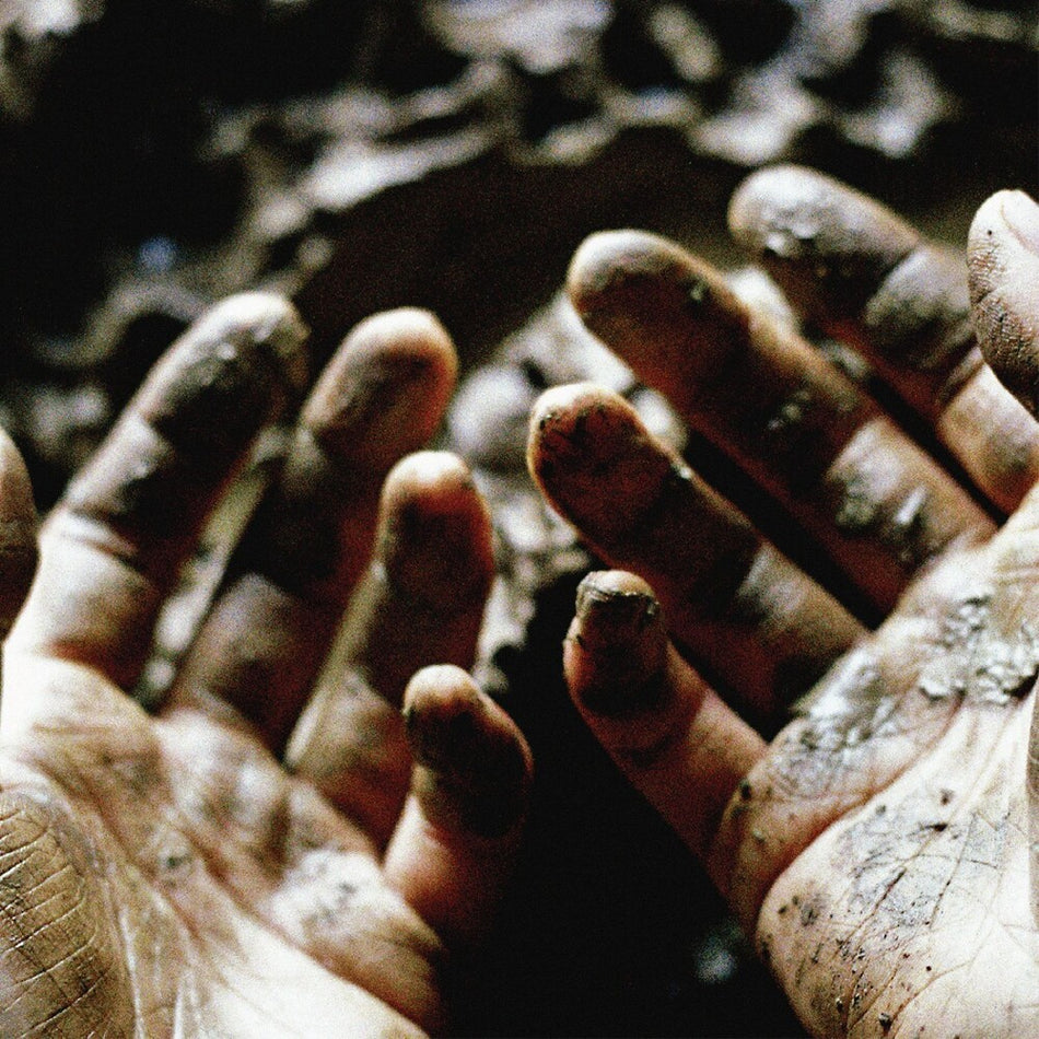 the album cover for Dis Fig - What To Make Of These Mortal Hands [Indie Exclusive Metallic]