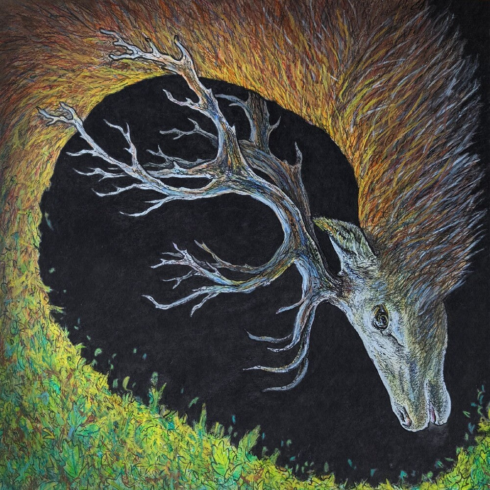 the album cover for Petrels - Infangthief [Digipak]