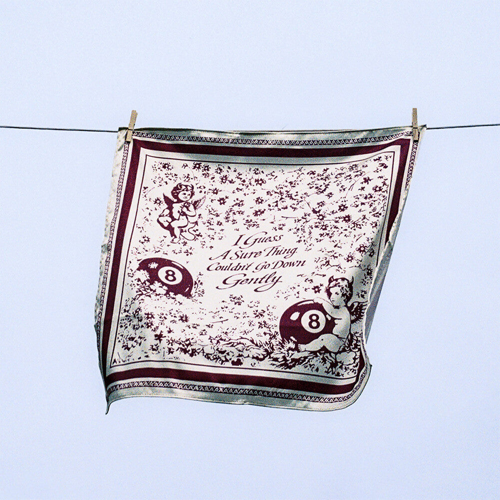 the album cover for Rachel Bochner - I Guess A Sure Thing Couldn't Go Down Gently [Bloodied From the Dogfight Maroon]