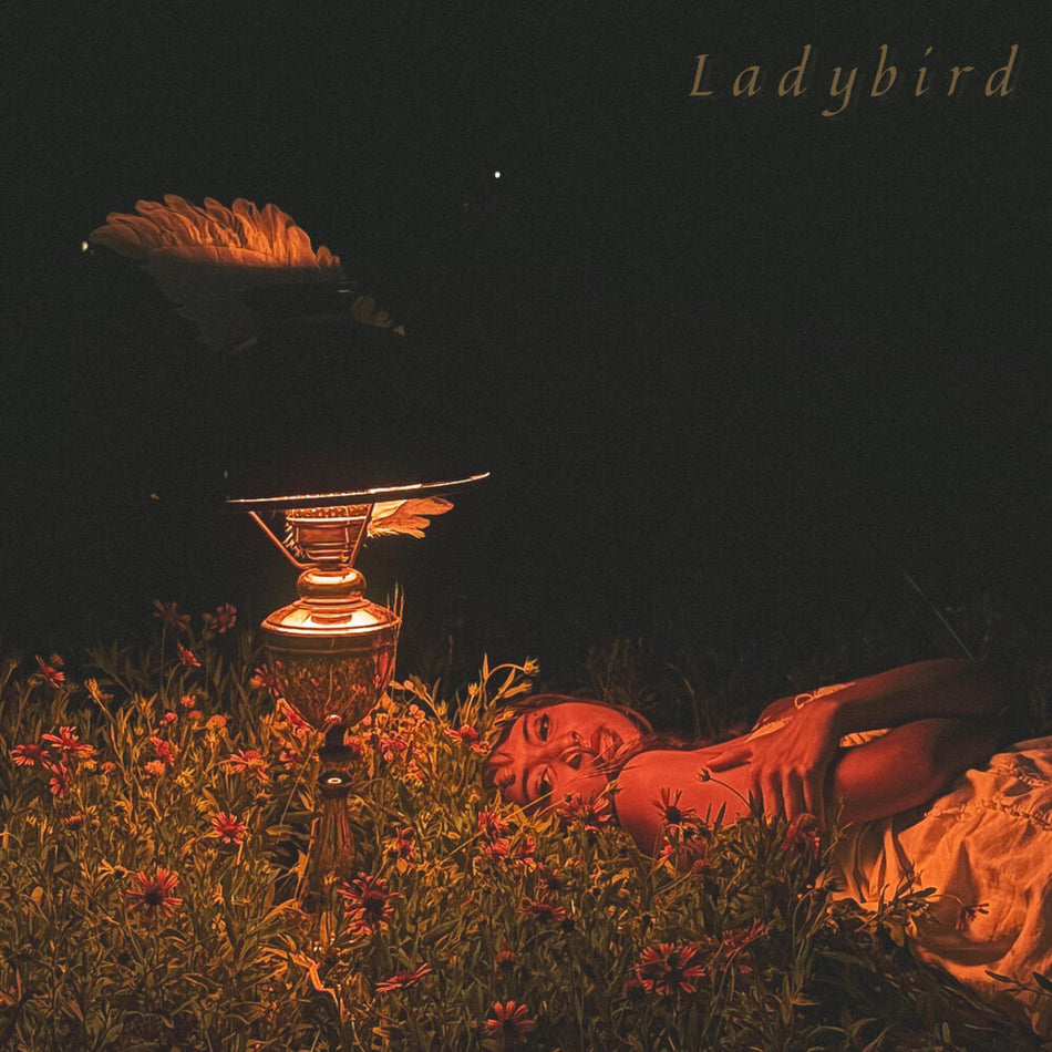 the album cover for Orca - Ladybird Ep