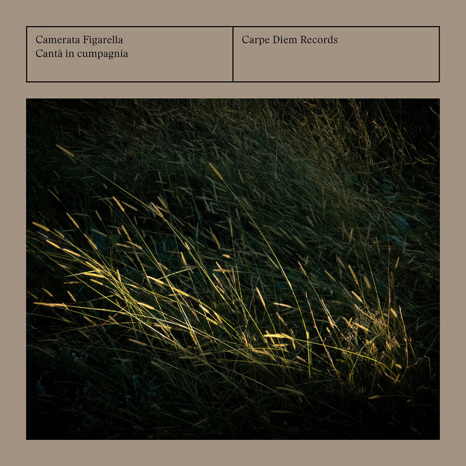 the album cover for Camerata Figarella - Canta In Cumpagnia