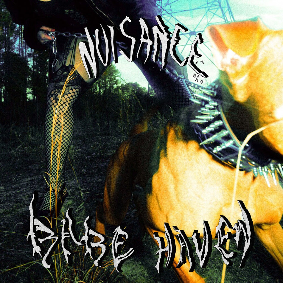 the album cover for Babe Haven - Nuisance