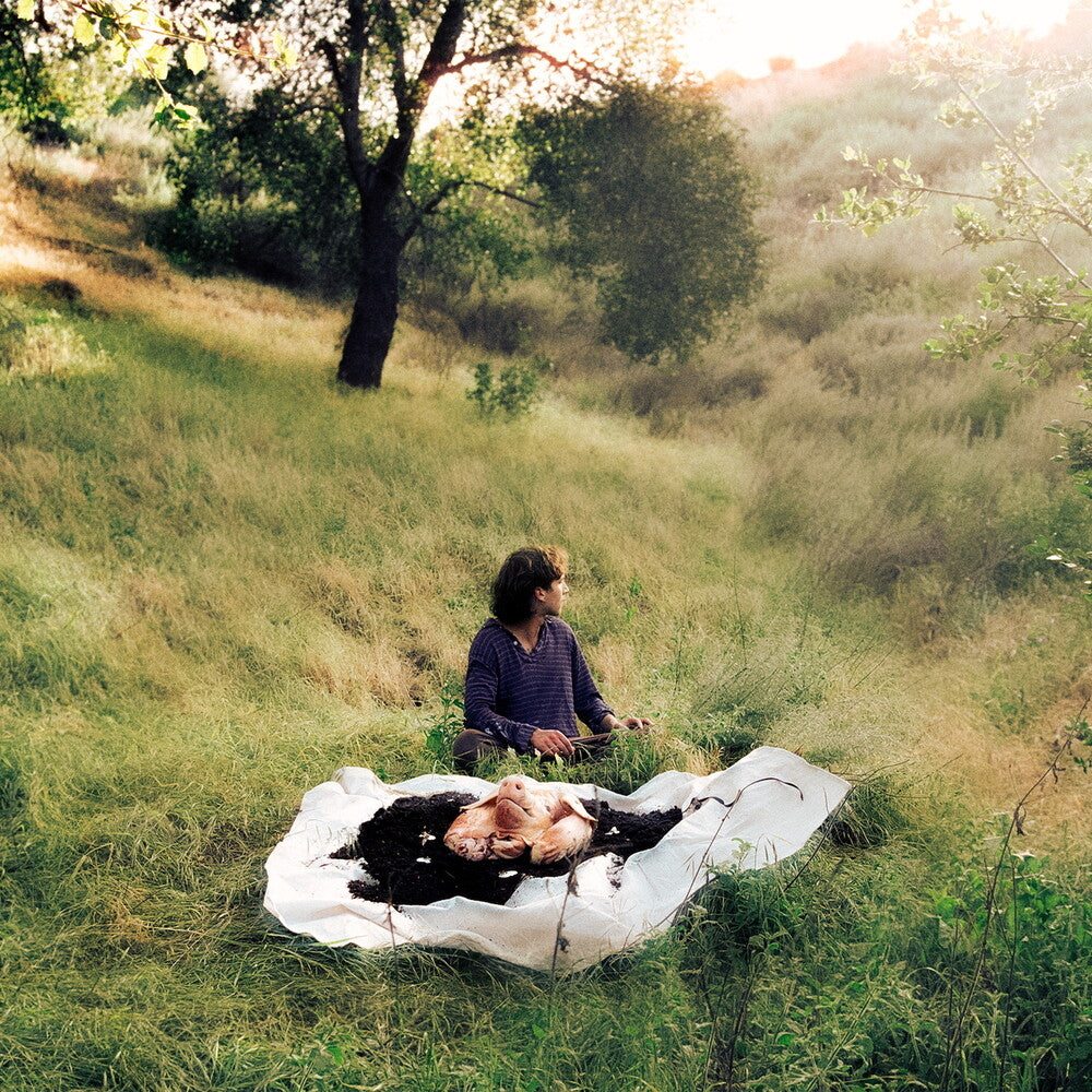 the album cover for Lane Hartley - No Home