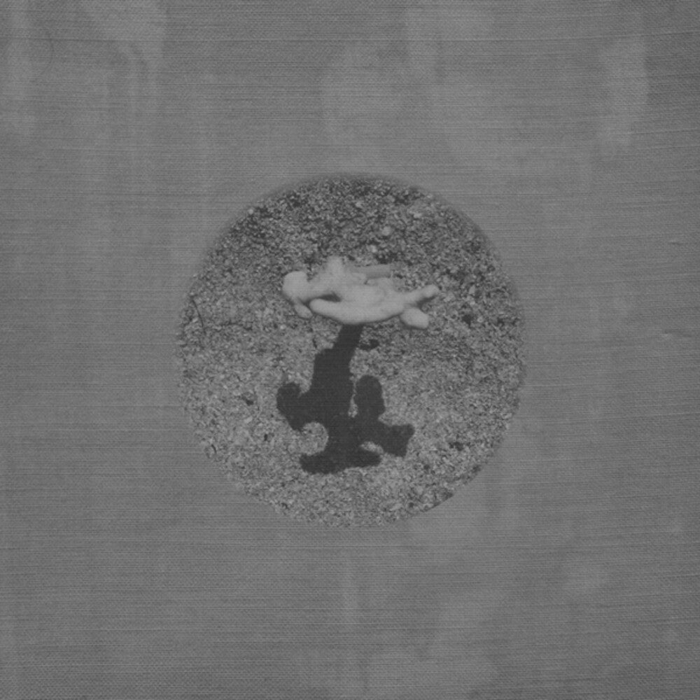 the album cover for Tara Cunningham - Warm Ground