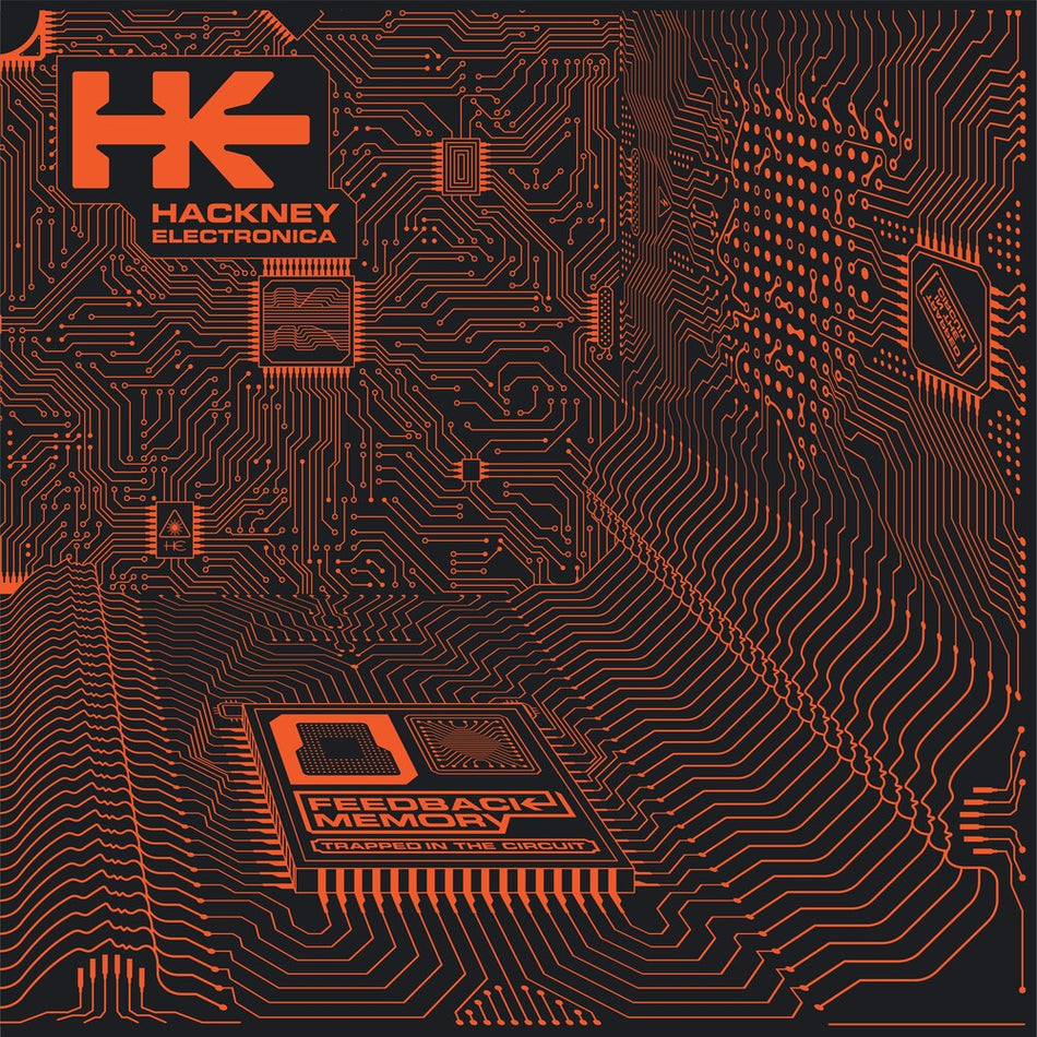 the album cover for Hackney Electronica - Feedback Memory