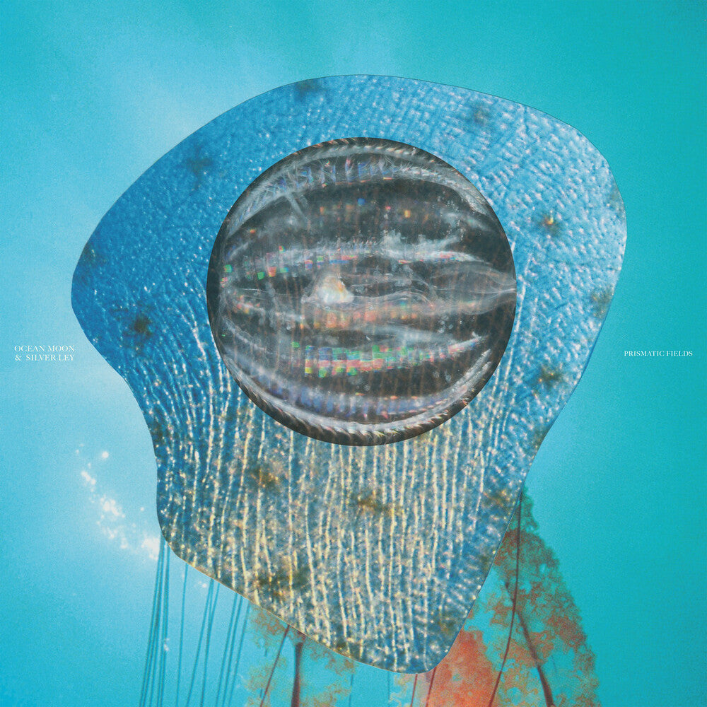 the album cover for Ocean Moon / Silver Ley - Prismatic Fields