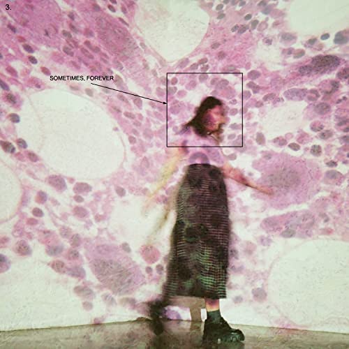 SOCCER MOMMY - SOMETIMES, FOREVER (CD)