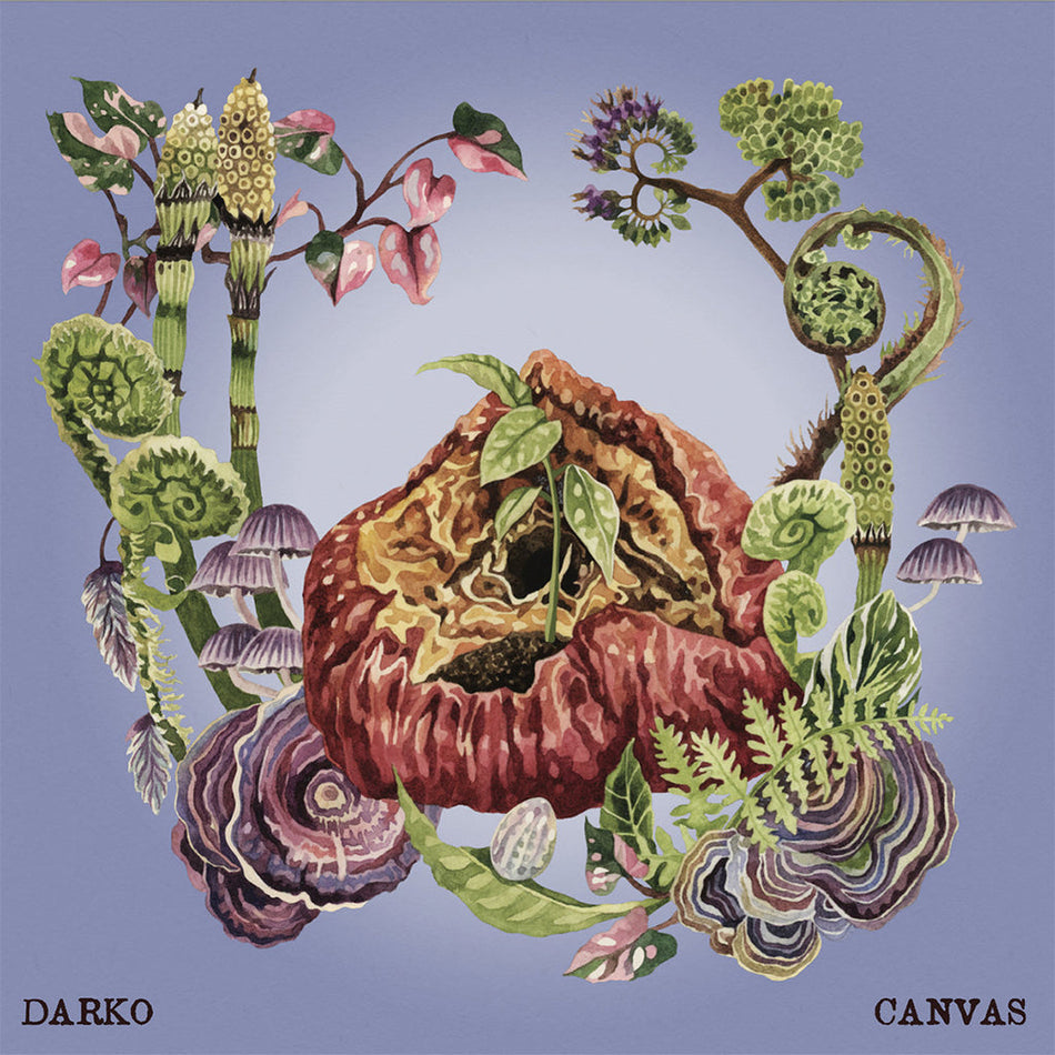 DARKO- CANVAS (LP)
