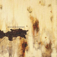 Nine Inch Nails - Downward Spiral (2LP)