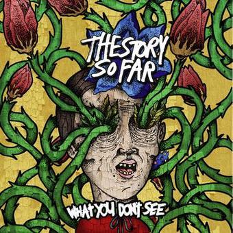 The Story So Far - What You Don't See (Green Vinyl)