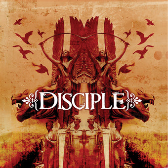 Disciple - Champagne